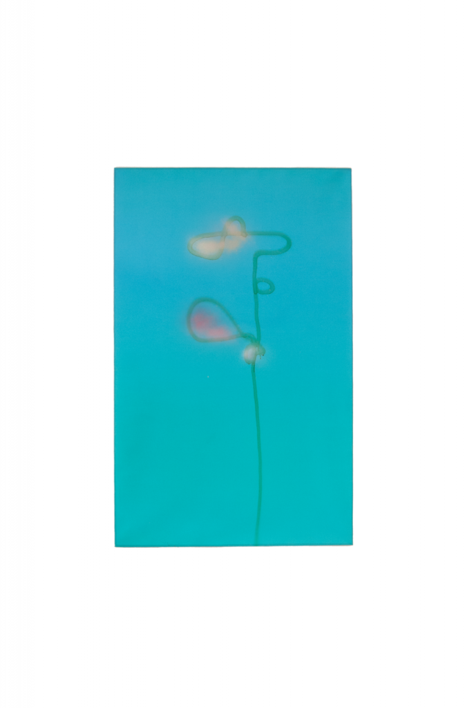 fleurs
