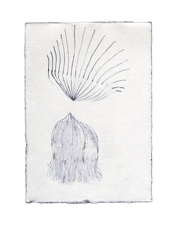 johann s | ink on handmade paper | 2023 t Groß