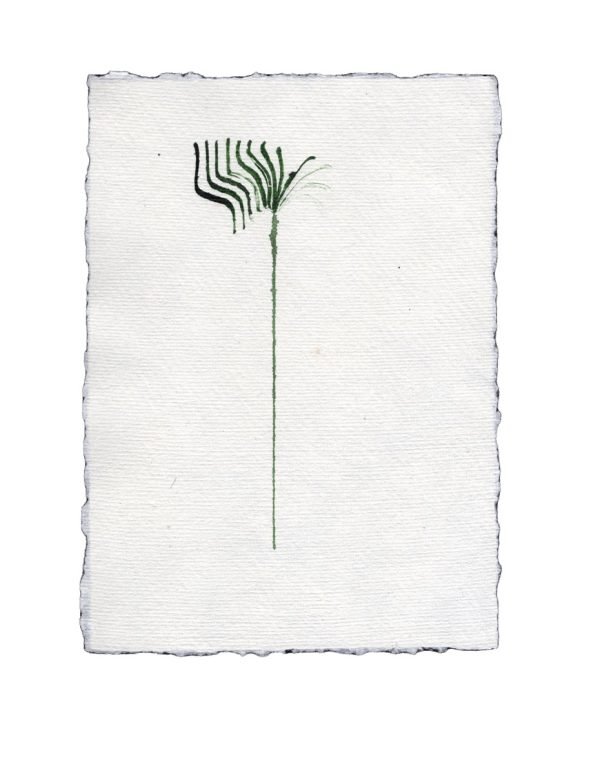 johann s | ink on handmade paper | 2023 z Groß